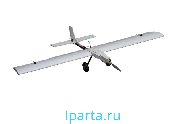 Учебная БАС двумоторного самолетного типа ARA FWE-WM2 Iparta